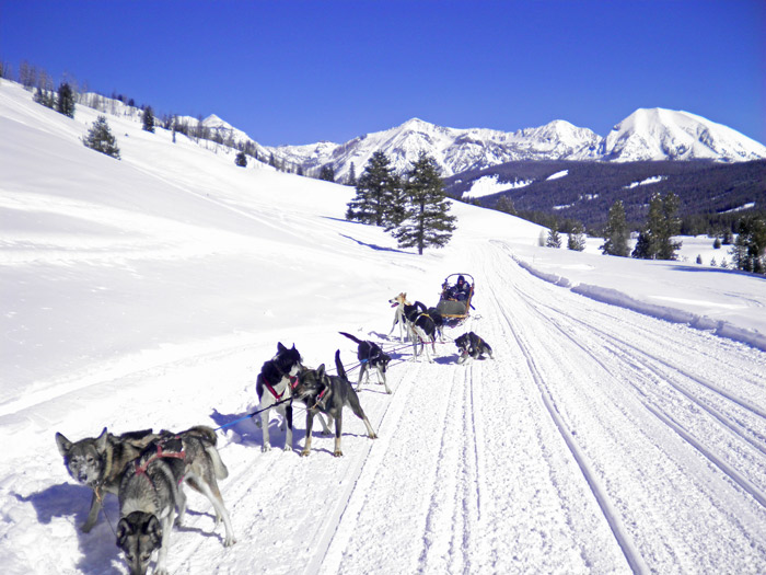 Common Ground participants go to Jackson Hole every year for dog-sledding. Photo courtesy of Common Ground.
