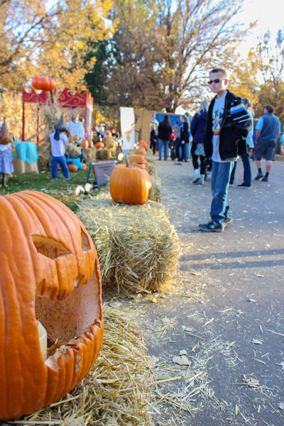 Carved pumpkins lined the pathway through the Pumpkin Walk at Elk Ridge Park. (Jaesea Gatherum photo) 