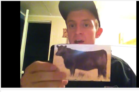 pitches his cattle genetics business on YouTube.
